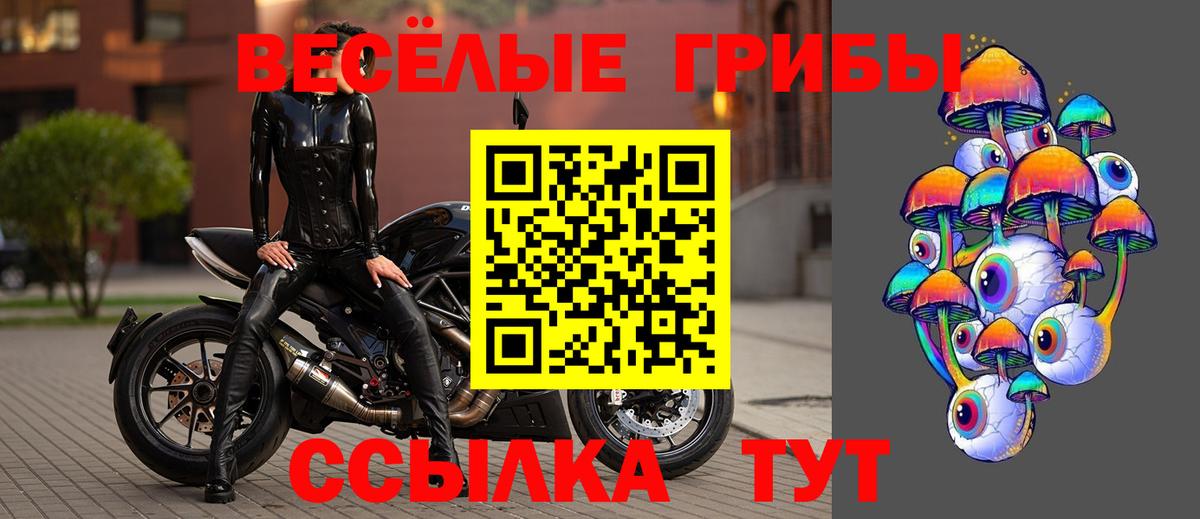 Галлюциногенные грибы Psilocybine cubensis  сколько стоит  Магнитогорск  Вход с VPN 